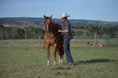 JESSIES FLASHY MAN - Thumbnail 11