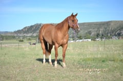 JESSIES FLASHY MAN - Thumbnail 14
