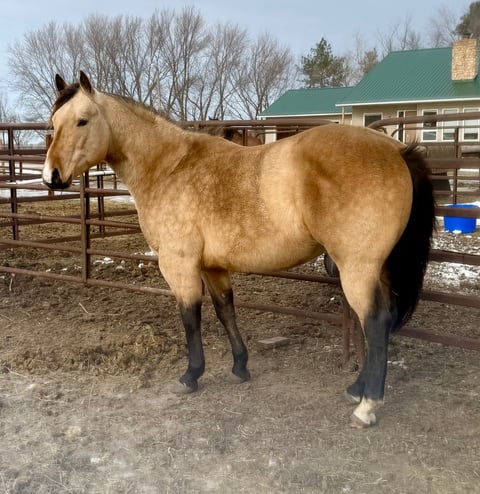 BLACKBURNS OAK FROST - Thumbnail 2