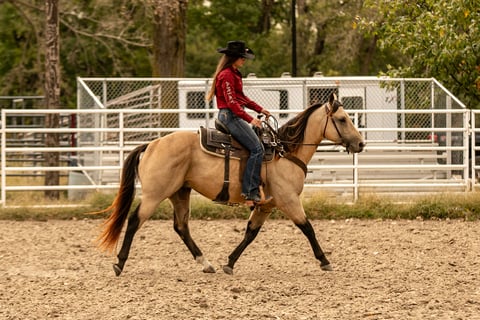 BLACKBURNS OAK FROST - Thumbnail 4