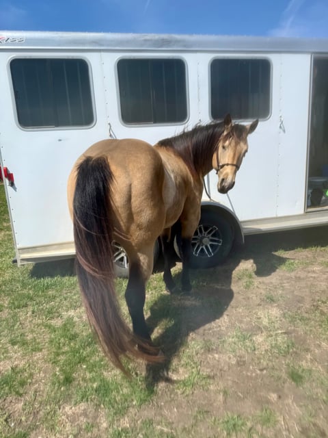 BLACKBURNS OAK FROST - Thumbnail 7