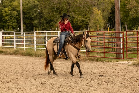 BLACKBURNS OAK FROST - Thumbnail 14