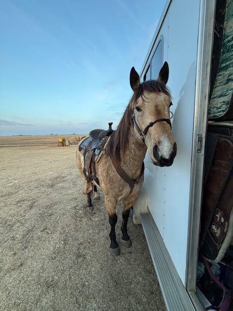 BLACKBURNS OAK FROST - Thumbnail 17