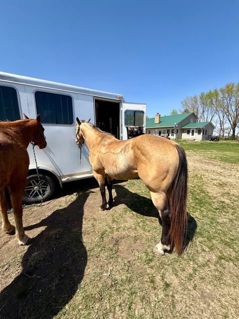 BLACKBURNS OAK FROST - Thumbnail 18