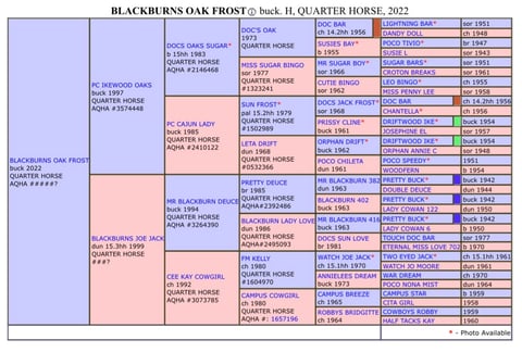 BLACKBURNS OAK FROST - Thumbnail 20