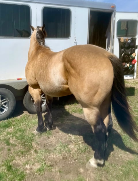 BLACKBURNS OAK FROST - Thumbnail 6