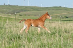 BA JaxedUp OnCarmell - Thumbnail 9