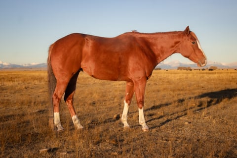 Catalenasdance - Thumbnail 4