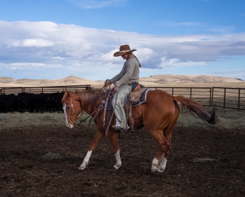 Catalenasdance - Thumbnail 6