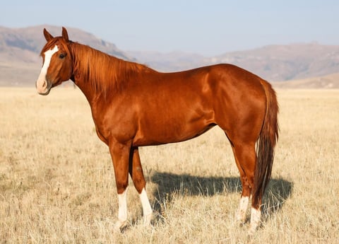 Catalenasdance - Thumbnail 7