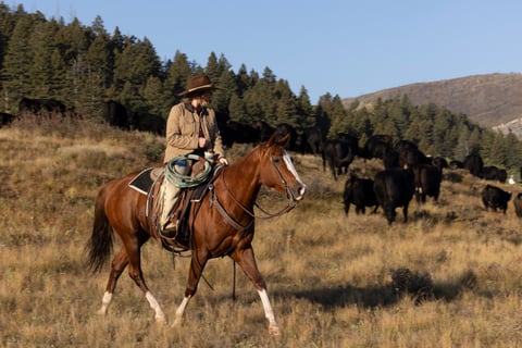 Catalenasdance - Thumbnail 9