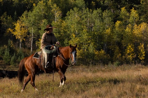 Catalenasdance - Thumbnail 10