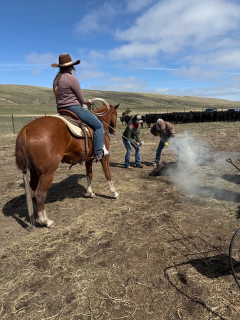 Catalenasdance - Thumbnail 13