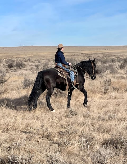 Thumper - Thumbnail 4