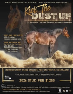 Kick the Dust Up - Thumbnail 6