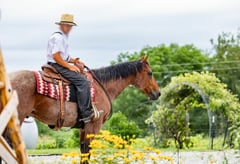 MF METALLIC COWBOY - Thumbnail 3