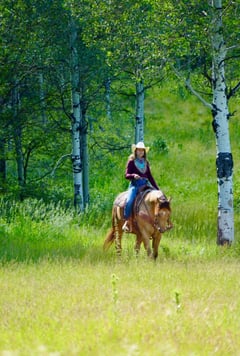 IMA Shootin Quixote - Thumbnail 5