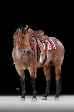 MF METALLIC COWBOY - Thumbnail 10