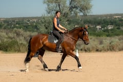 Barney - Thumbnail 10