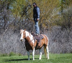 Hondo - Thumbnail 5