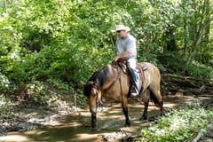 Tex - Thumbnail 4
