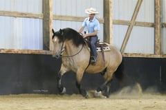 2-Ton - Thumbnail 5
