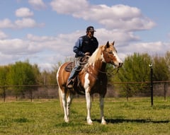Hondo - Thumbnail 9