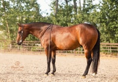 My mega nite - Thumbnail 2
