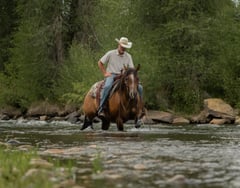 MRD Guy Bucked Barb - Thumbnail 5