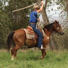 Roos Prince - Thumbnail 10