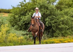 MF METALLIC COWBOY - Thumbnail 9