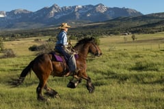 Holley West's Will Scarlett - Thumbnail 10