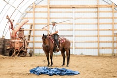 MF METALLIC COWBOY - Thumbnail 2