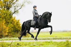Aart Fan Osterberg - Thumbnail 3