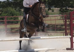 Rio Tough Tucker - Thumbnail 7