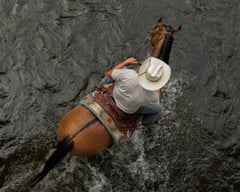 MRD Guy Bucked Barb - Thumbnail 3