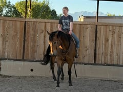 HOSS - Thumbnail 8