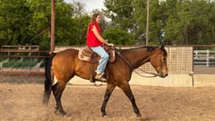 HOSS - Thumbnail 6