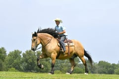 2-Ton - Thumbnail 8