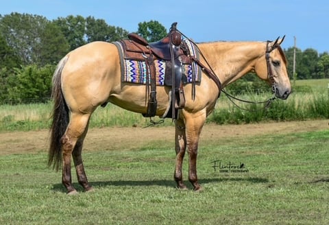 TC MR PISTOL - Photo 1
