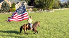 HOSS - Thumbnail 7