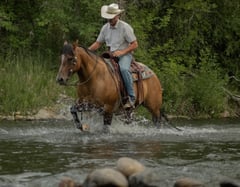 MRD Guy Bucked Barb - Thumbnail 4