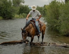 MRD Guy Bucked Barb - Thumbnail 7