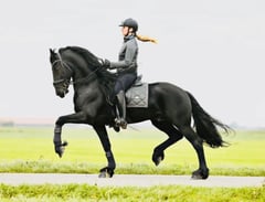 Aart Fan Osterberg - Thumbnail 1