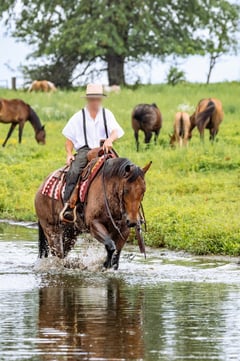 MF METALLIC COWBOY - Thumbnail 8