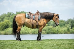 Tex - Thumbnail 1