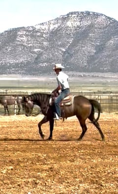 Showdown Sioux - Thumbnail 4