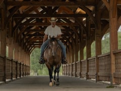 MRD Guy Bucked Barb - Thumbnail 6