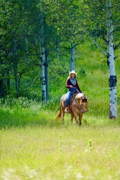 IMA Shootin Quixote - Thumbnail 3