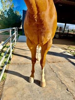 Heza Big Cool Secret - Thumbnail 7